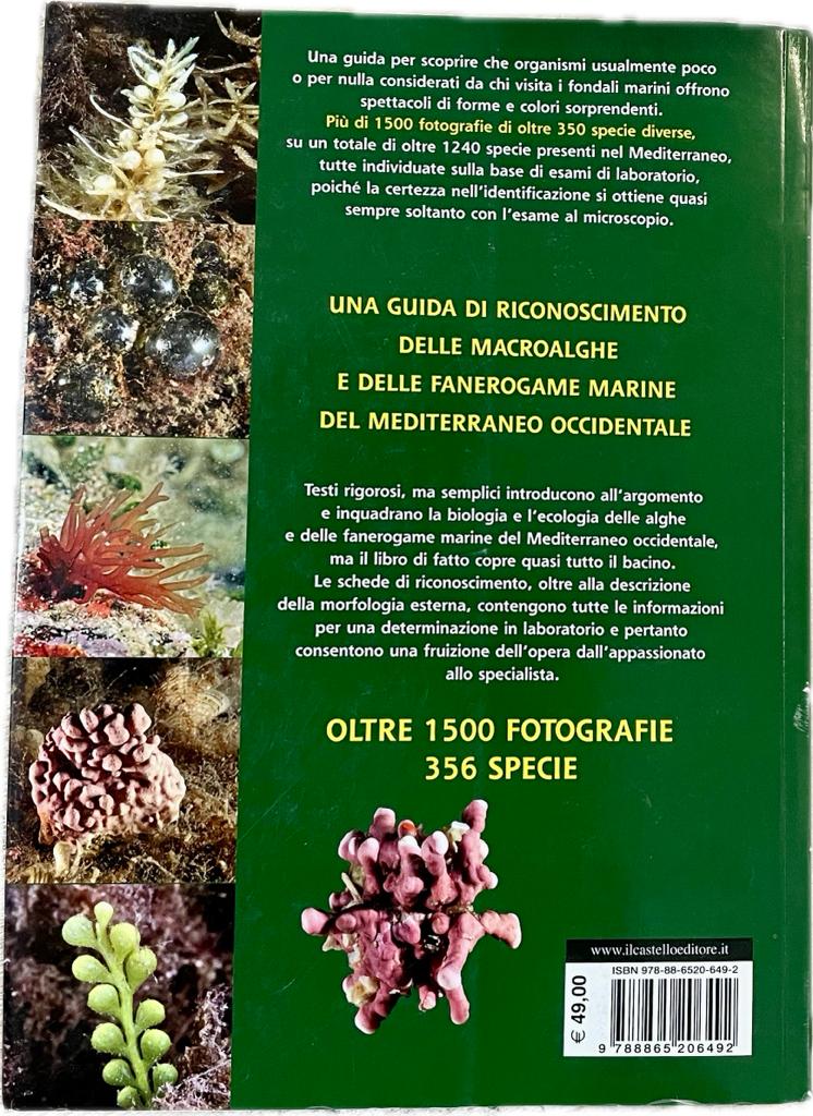 Alghe e Fanerogame Del Mediterraneo