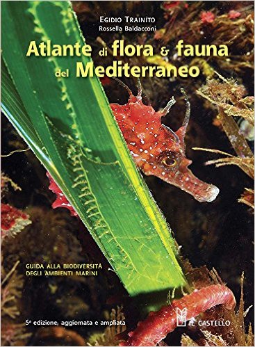 Atlante Di Flora E Fauna Del Mediterraneo