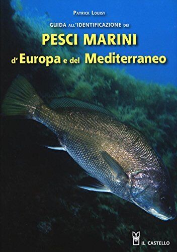 Pesci Marini D'Europa E Del Mediterraneo